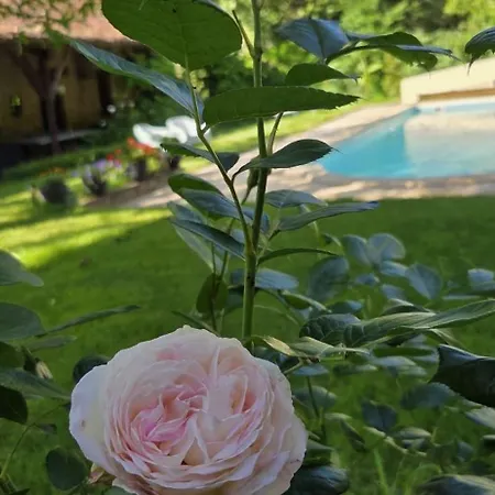 Le Manoir Du Moulin De Madame Bed & Breakfast Villeneuve-sur-Lot