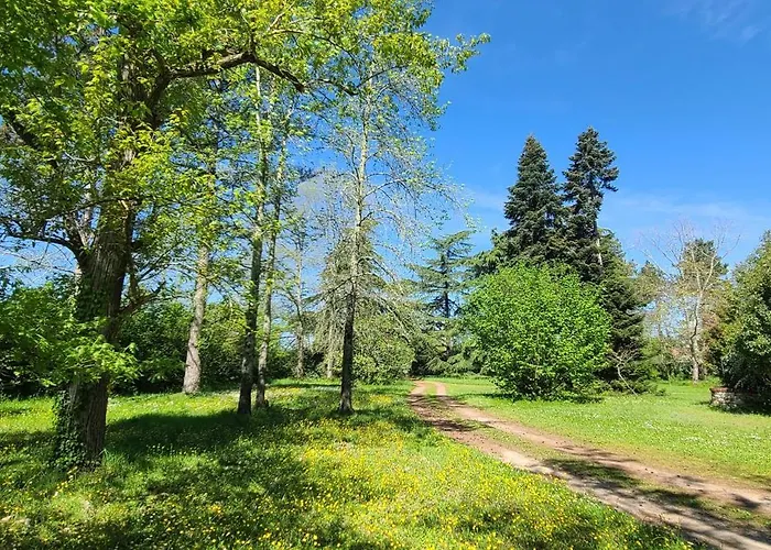 Le Manoir Du Moulin De Madame Frühstückspension
